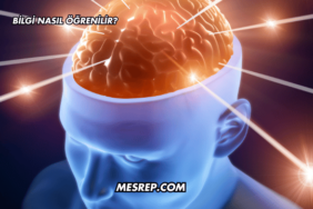 Bilgi Nasıl Öğrenilir?