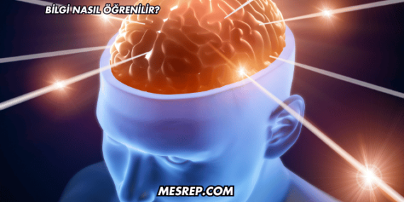 Bilgi Nasıl Öğrenilir?