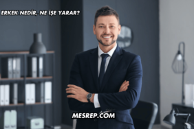 Erkek Nedir, Ne İşe Yarar?