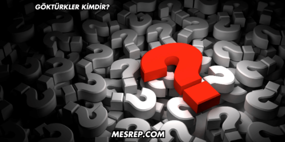 Göktürkler Kimdir?
