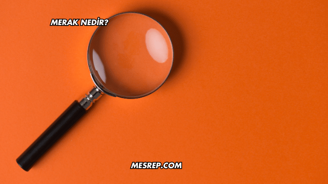 Merak Nedir?
