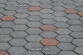 Sekizgen Nedir?