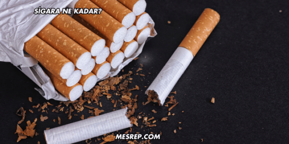 Sigara Ne Kadar?