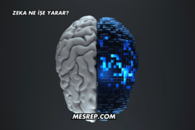 Zeka Ne İşe Yarar?