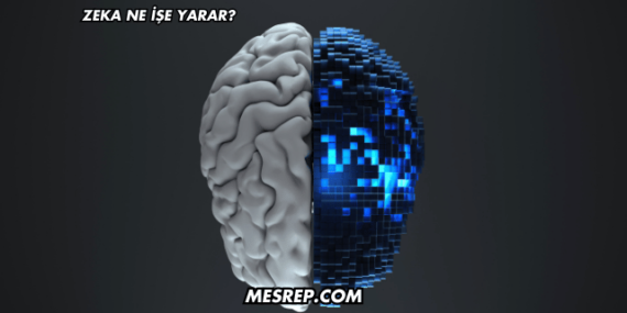 Zeka Ne İşe Yarar?