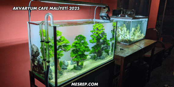 Akvaryum Cafe Maliyeti 2025