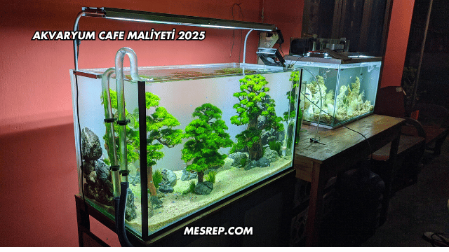 Akvaryum Cafe Maliyeti 2025