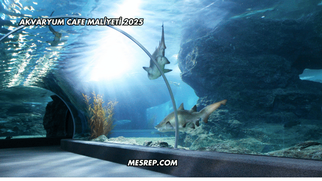 Akvaryum Cafe Maliyeti 2025
