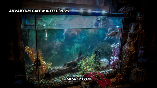 Akvaryum Cafe Maliyeti 2025