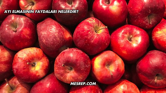 Ayı Elmasının Faydaları Nelerdir?