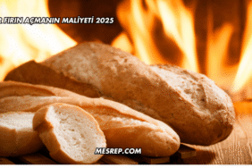 Bir Fırın Açmanın Maliyeti 2025