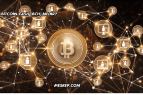 Bitcoin Cash (BCH) Nedir?