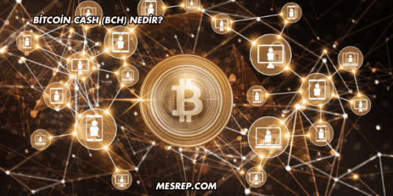 Bitcoin Cash (BCH) Nedir?