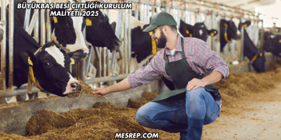 Büyükbaş Besi Çiftliği Kurulum Maliyeti 2025