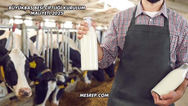 Büyükbaş Besi Çiftliği Kurulum Maliyeti 2025