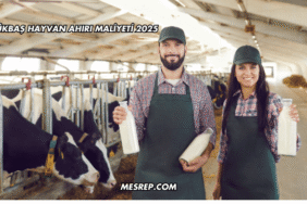 Büyükbaş Hayvan Ahırı Maliyeti 2025