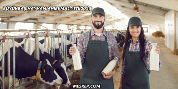 Büyükbaş Hayvan Ahırı Maliyeti 2025