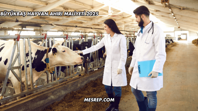 Büyükbaş Hayvan Ahırı Maliyeti 2025