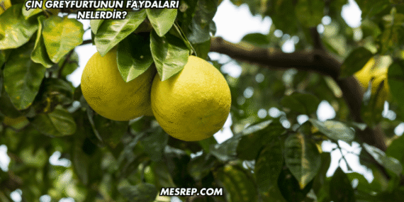 Çin Greyfurtunun Faydaları Nelerdir?