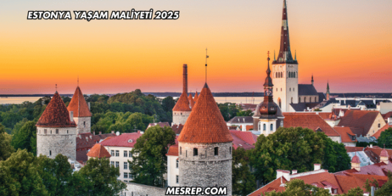 Estonya Yaşam Maliyeti 2025