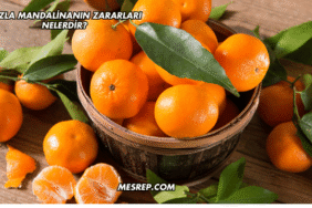 Fazla Mandalinanın Zararları Nelerdir?