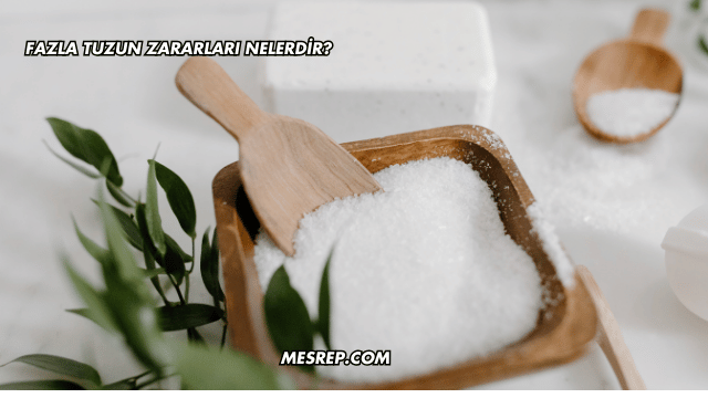 Fazla Tuzun Zararları Nelerdir?