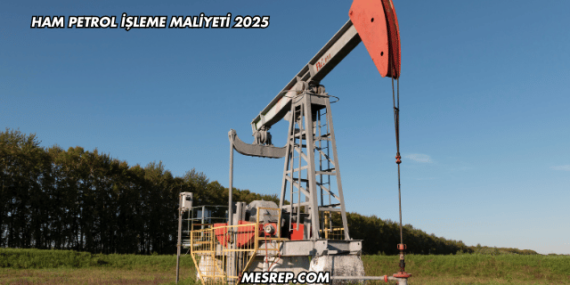 Ham Petrol İşleme Maliyeti 2025