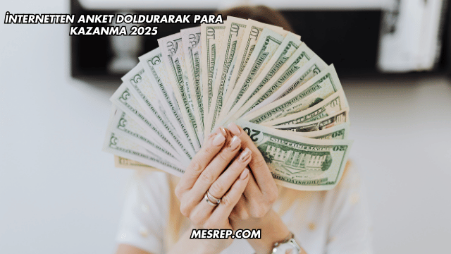 İnternetten Anket Doldurarak Para Kazanma 2025