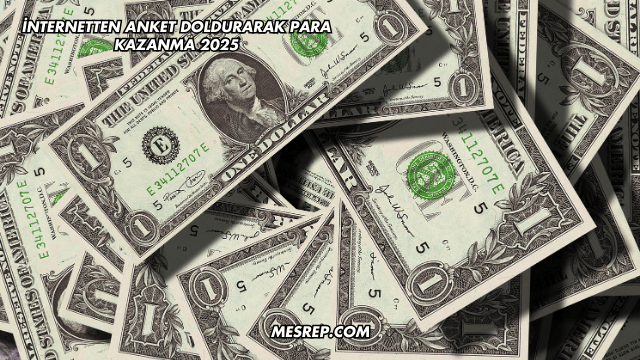 İnternetten Anket Doldurarak Para Kazanma 2025