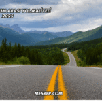 İstanbul Bodrum Arası Yol Maliyeti 2025