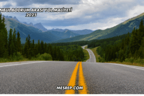 İstanbul Bodrum Arası Yol Maliyeti 2025
