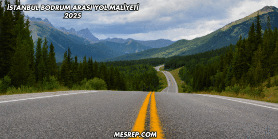 İstanbul Bodrum Arası Yol Maliyeti 2025