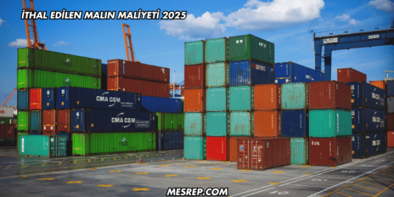 İthal Edilen Malın Maliyeti 2025