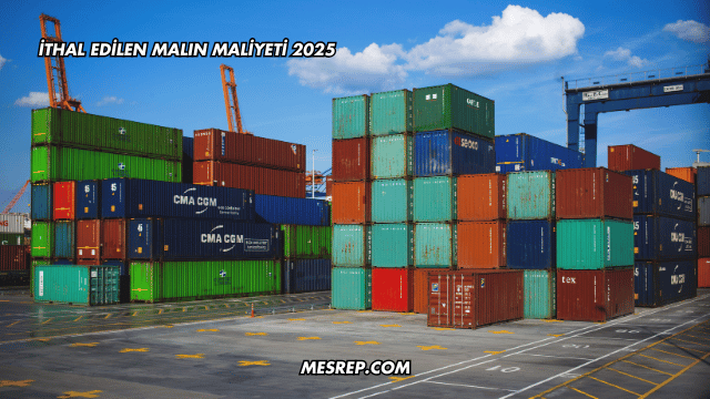 İthal Edilen Malın Maliyeti 2025