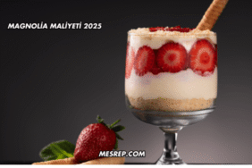 Magnolia Maliyeti 2025