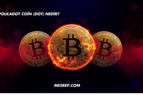 Polkadot Coin (DOT) Nedir?