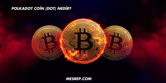 Polkadot Coin (DOT) Nedir?