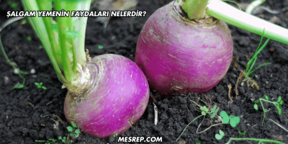 Şalgam Yemenin Faydaları Nelerdir?