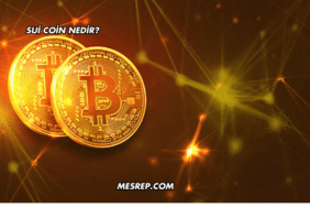 Sui Coin Nedir?