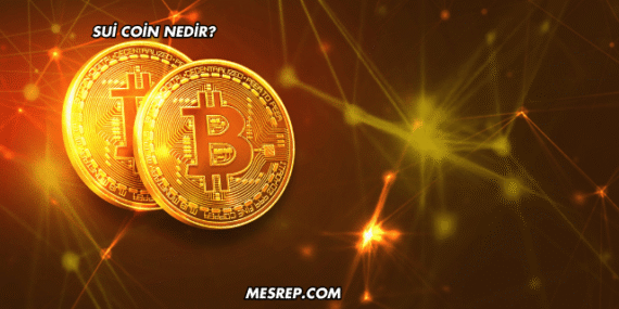 Sui Coin Nedir?